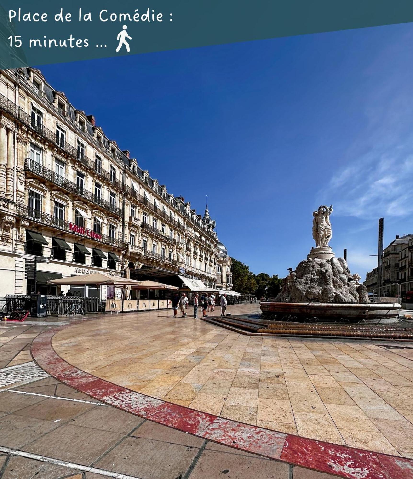 Appartement Entier Cosy Avec Balcon - Centre Montpellier Extérieur photo