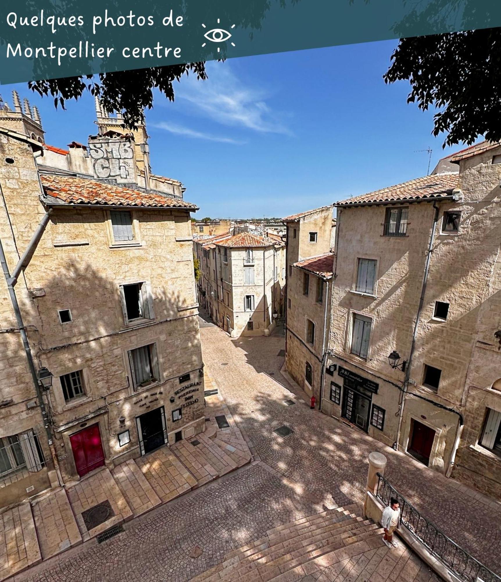 Appartement Entier Cosy Avec Balcon - Centre Montpellier Extérieur photo